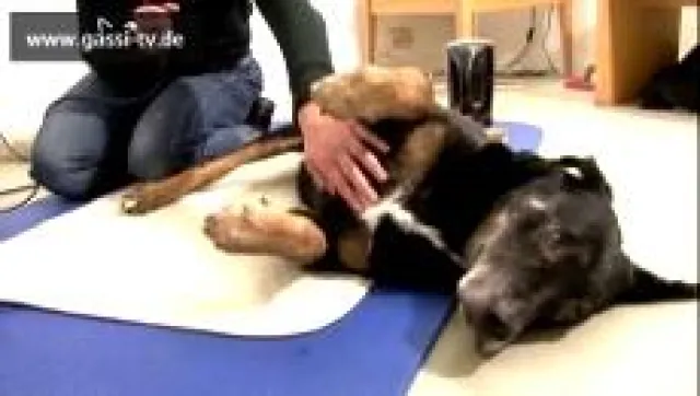 Bild: Die erste Folge von "Gesund und Munter" ist da