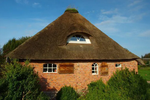 Mit der Familie ins Ferienhaus an der Nordsee Bild: Mit der Familie ins Ferienhaus an der Nordsee