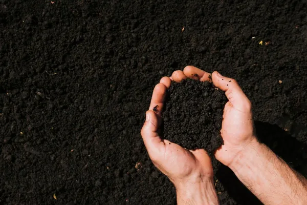 Bild: Qualitätskompost von Wurzer Umwelt - Nachhaltige Nährstoffe für Landwirtschaft und Gartenbau