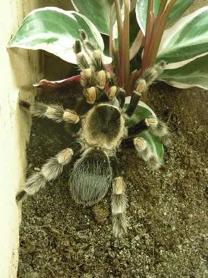 Bild: Wildes krabbeln in ELA-Containern