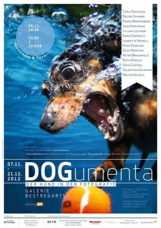 DOGumenta: Der Hund in der Fotografie