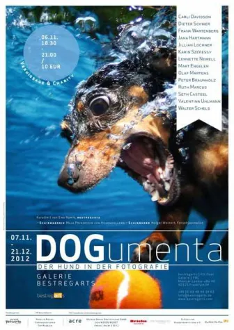 DOGumenta: Der Hund in der Fotografie Bild: DOGumenta: Der Hund in der Fotografie