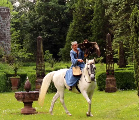 Bild: Die Tage des Sommerfalken auf der Gamburg