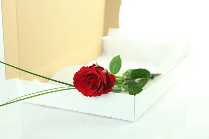 Blumen bestellen einfach gemacht Bild: Blumen bestellen einfach gemacht
