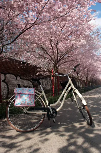 Nix für graue Mäuse! Fahrradtaschen in voller Blüte Bild: Nix für graue Mäuse! Fahrradtaschen in voller Blüte