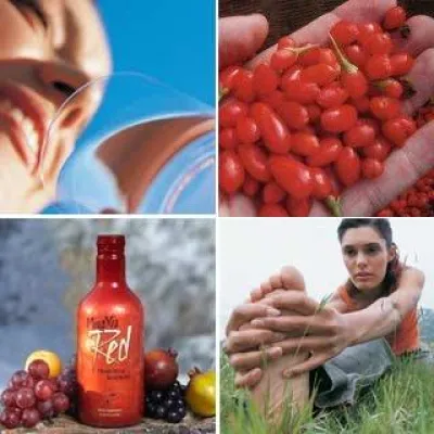 Bild: Woher kommt die Wolfsbeere (Goji)