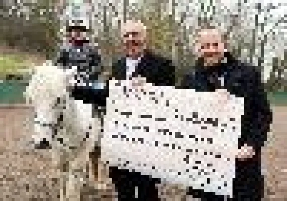 Bild: Heilpädagogisches Reiten fördert Entwicklung von Kindern mit Handicap