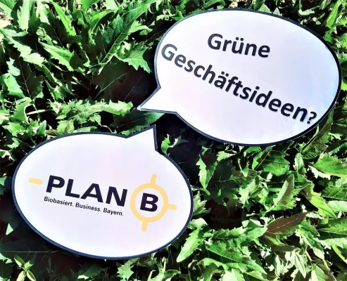 Bild: Plan B für grüne Start-ups