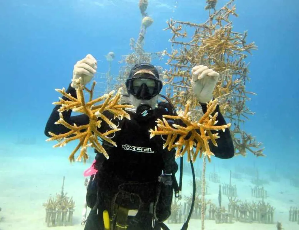 Bildrechte: © Florida Keys News Bureau