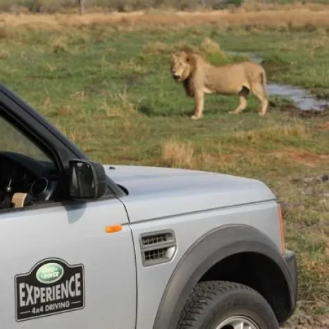 Bild: Botswana und Namibia, 4x4 und die Big Five