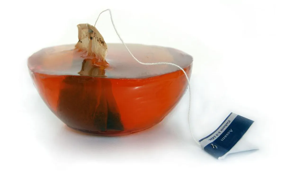 Shape & Surface 2008