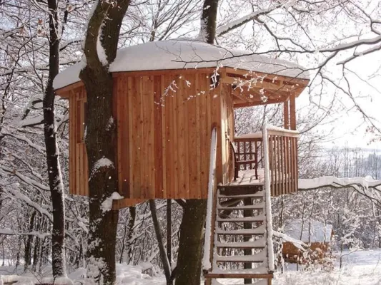 Bild: Ein Bett im Blätterwald