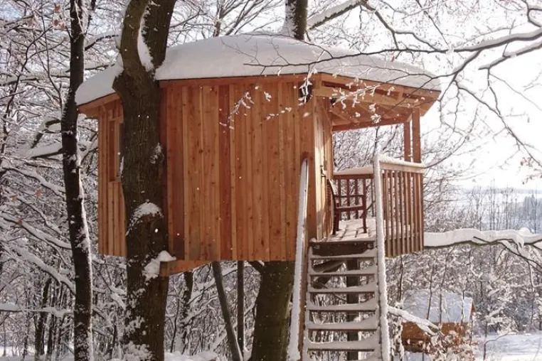 Ein Bett im Blätterwald Bild: Ein Bett im Blätterwald