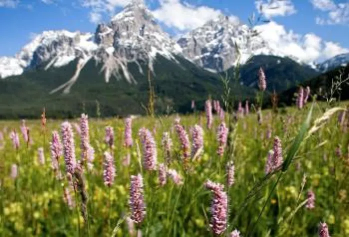 Bild: Willkommen zu Hause in der Natur