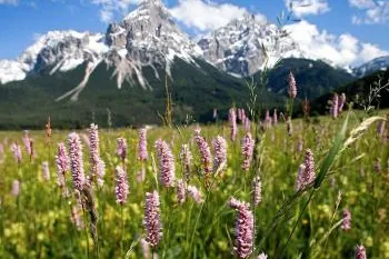 Bild: Willkommen zu Hause in der Natur