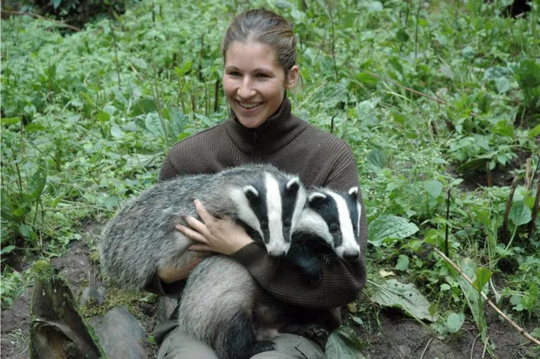 ImWildpark Eekholt toben jetzt die kleinen "Frech-" Dachse "Paul" und "Emma" Bild: ImWildpark Eekholt toben jetzt die kleinen "Frech-" Dachse "Paul" und "Emma"