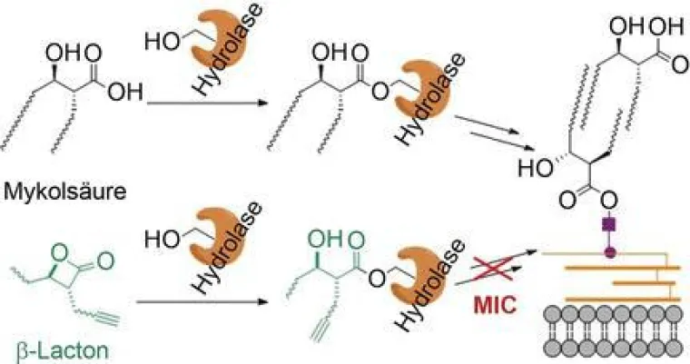 Bild: Undercover im Kampf gegen Tuberkulose