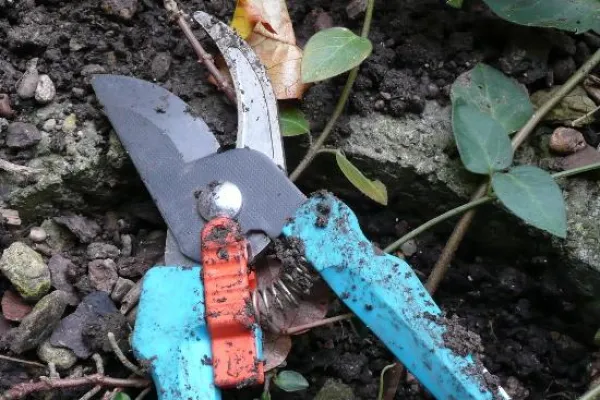 Bild: Mit Öl + Bürste durch den Winter - Werkzeugcheck in der kalten Jahreszeit hilft vor Überraschungen im Frühjahr