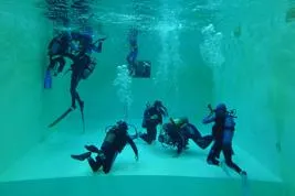 Bild: scubaland-tauchen.de: Neue Webseite für den Tauch- und Schwimmsport