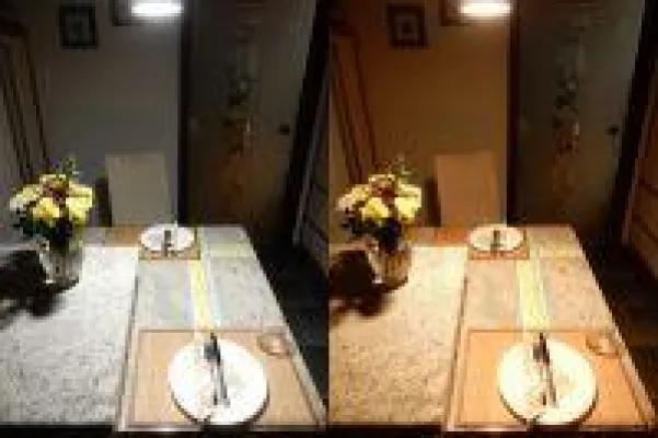 Bild: BRANDNEU: Sparsame 2in1 LED-Lampe mit Vollspektrumlicht und Glühlampenlicht