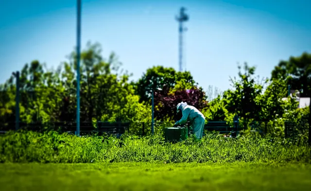 Bild: Tradition, die bleibt: Original LÖWE verbindet Made in Germany mit Nachhaltigkeit