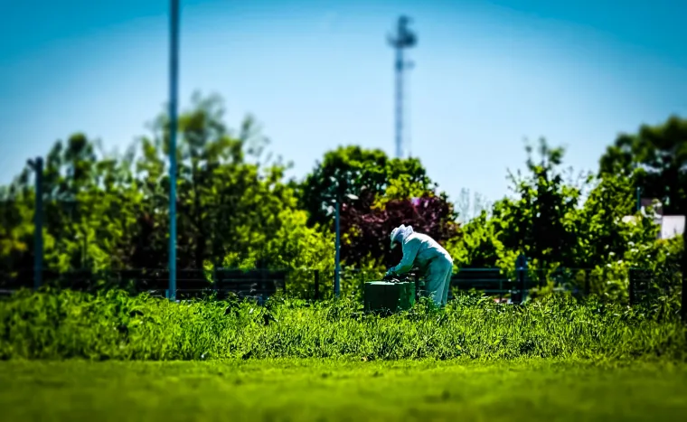 Bild: Tradition, die bleibt: Original LÖWE verbindet Made in Germany mit Nachhaltigkeit