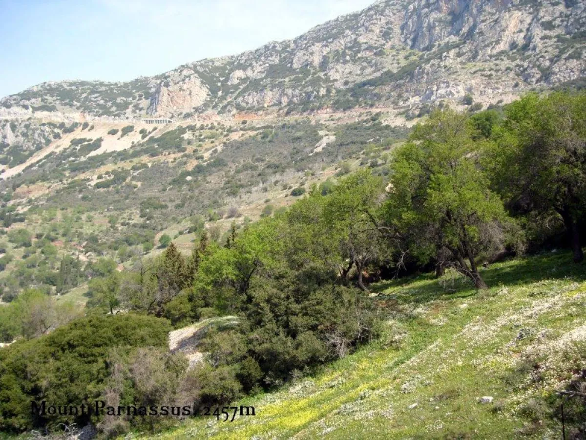 Mount Parnassus, Blick auf das Skigebiet