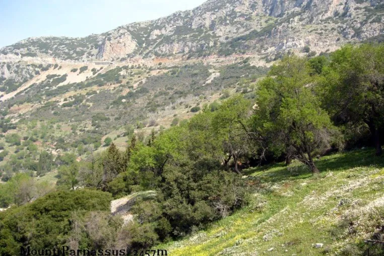 Bild: Griechenland – Tourismuskonferenz in Tripoli/Peloponnes