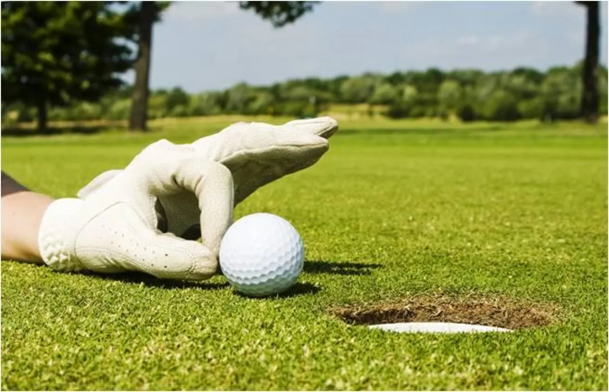Home-Golfing - der Flight wird beeindruckt sein. Jetzt bei www.seidenspinner.de