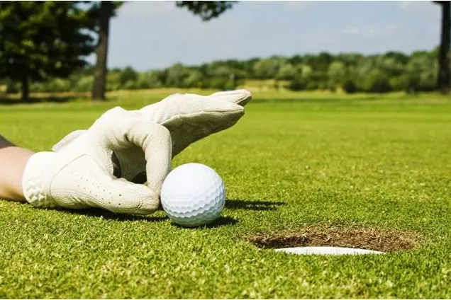 Bild: Home-Golfing