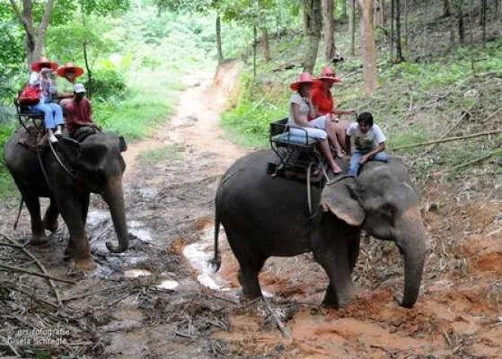 Tourismus auf Augenhöhe – Authentischer Thailand-Urlaub in der Beluga School for Life – Aktualisierte Website Bild: Tourismus auf Augenhöhe – Authentischer Thailand-Urlaub in der Beluga School for Life – Aktualisierte Website