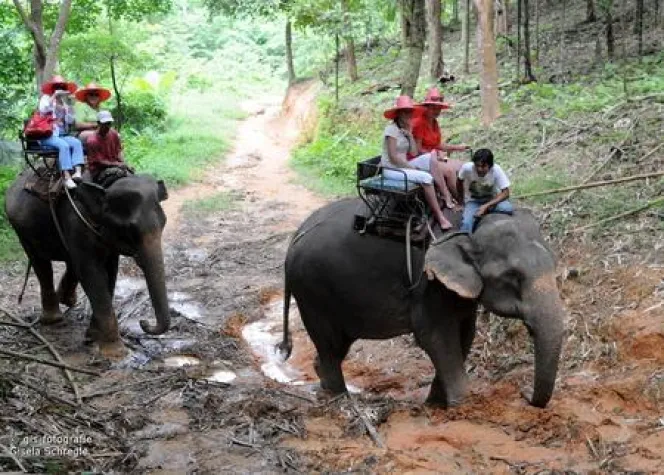 Bild: Tourismus auf Augenhöhe – Authentischer Thailand-Urlaub in der Beluga School for Life – Aktualisierte Website
