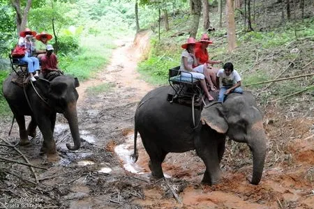 Tourismus auf Augenhöhe – Authentischer Thailand-Urlaub in der Beluga School for Life – Aktualisierte Website Bild: Tourismus auf Augenhöhe – Authentischer Thailand-Urlaub in der Beluga School for Life – Aktualisierte Website