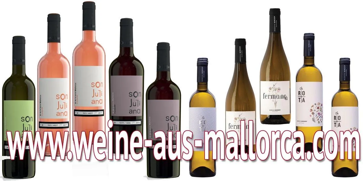 weine-aus-mallorca.com - November in Weiss