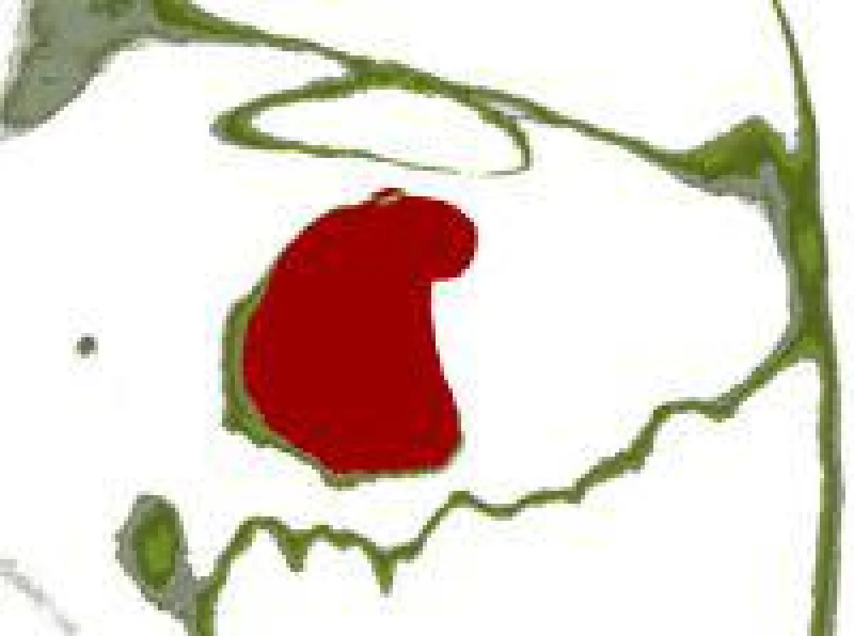 Bianka Schüssler . Logo