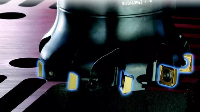 Unbezwingbar durch das Geheimnis der Drachenhaut... Bild: Unbezwingbar durch das Geheimnis der Drachenhaut...