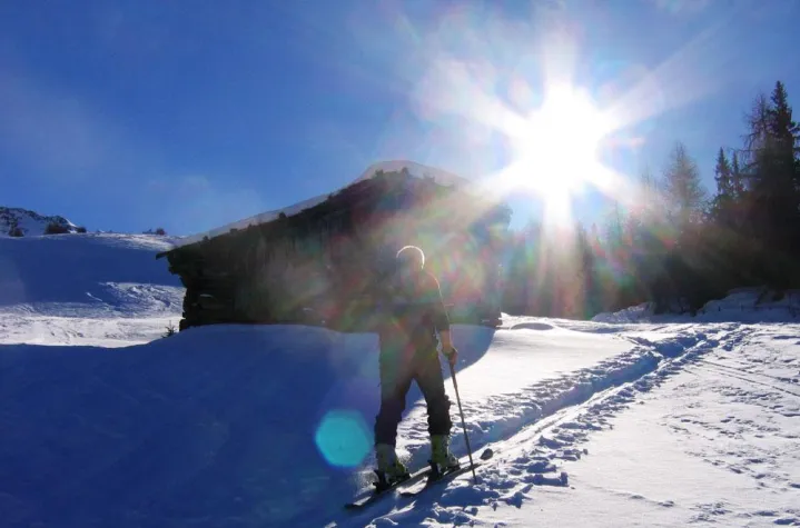 Bild: Schenna, auf der sonnigen Seite oberhalb von Meran in Südtirol