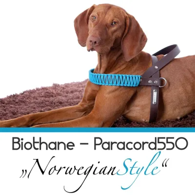 Die neuen Biothane/Paracord Norwegergeschirre aus der Lüneburger KOOIRA-Manufaktur Bild: Die neuen Biothane/Paracord Norwegergeschirre aus der Lüneburger KOOIRA-Manufaktur