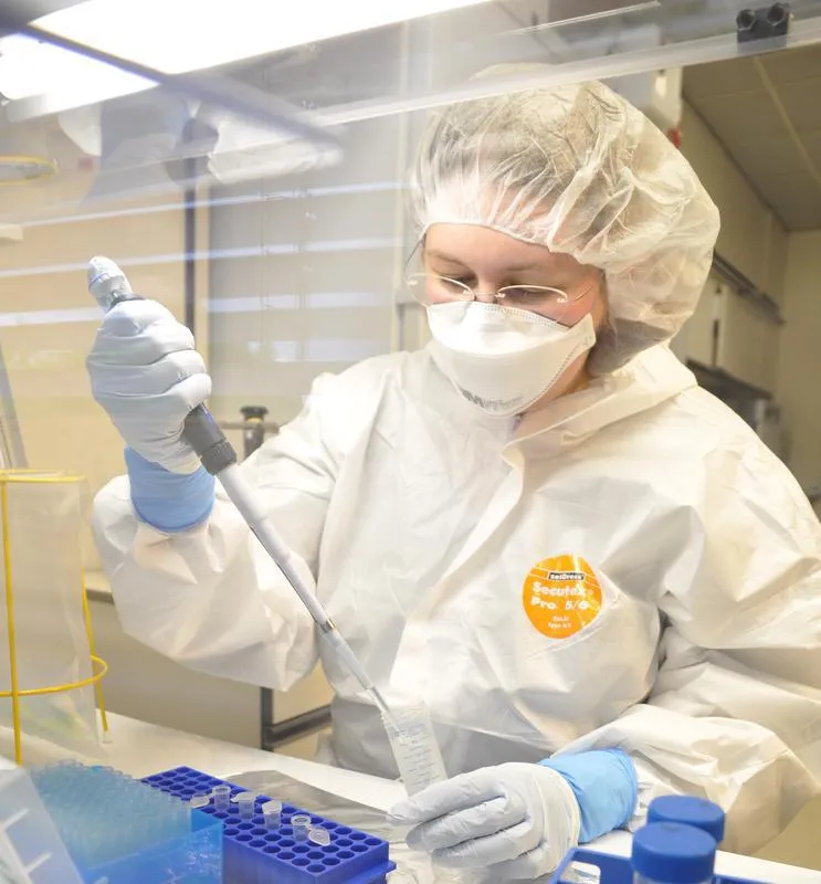 Verena Schuenemann extracting ancient samples ((credit: Johannes Krause))