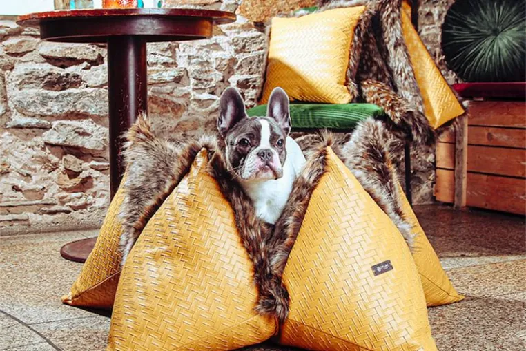Bild: FLUM Manufaktur - individuelle Luxus-Hundekissen