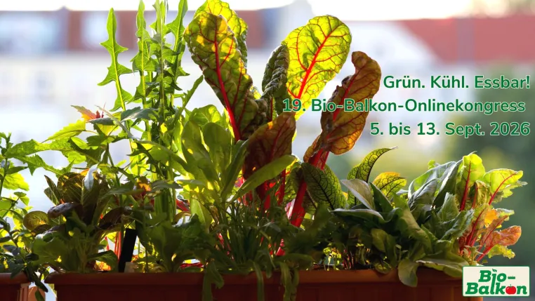 Grün. Kühl. Essbar! 19. Bio-Balkon-Onlinekongress zeigt, wie Balkone zur Abkühlung und Stadtnatur beitragen Bild: Grün. Kühl. Essbar! 19. Bio-Balkon-Onlinekongress zeigt, wie Balkone zur Abkühlung und Stadtnatur beitragen