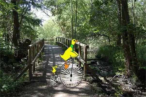 Bild: Mit Max und Lea um die Müritz - eine Radtour für Familien