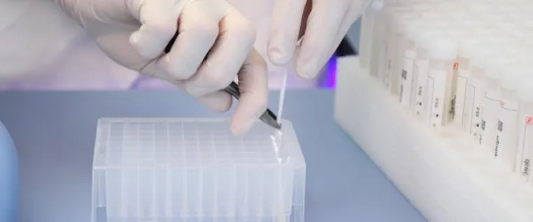 Gen-Diät: 2,5-mal effektiveres Abnehmen nach den Genen mit DNAnutriControl Bild: Gen-Diät: 2,5-mal effektiveres Abnehmen nach den Genen mit DNAnutriControl