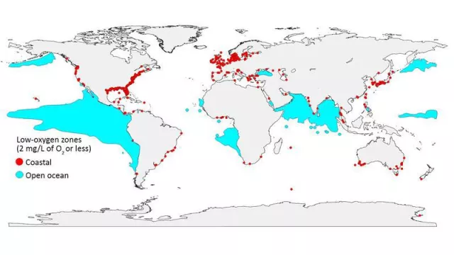 Bild: Die Sauerstoffarmut im Ozean nimmt zu- Science-Studie zeigt Gefahren, aber auch Lösungsansätze auf