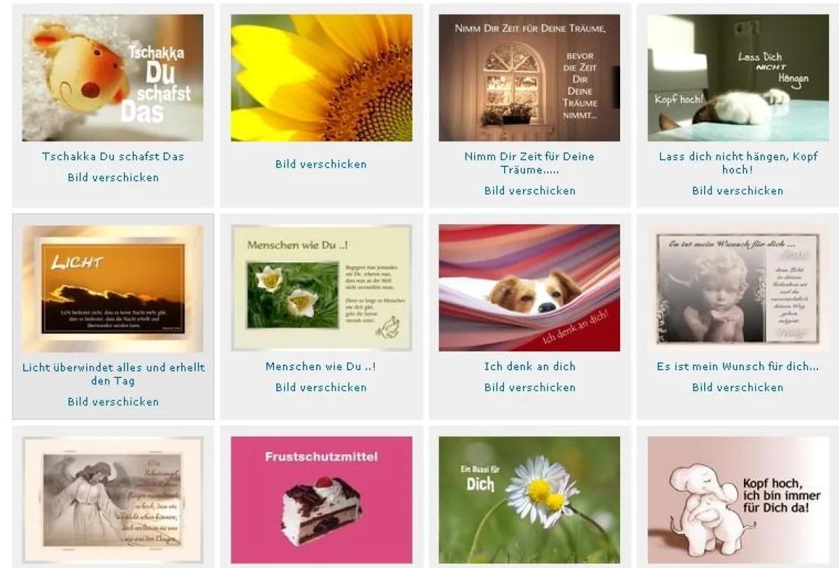 12 von über 1000 Motiven (Quelle: Webseite www.pokamax.de)