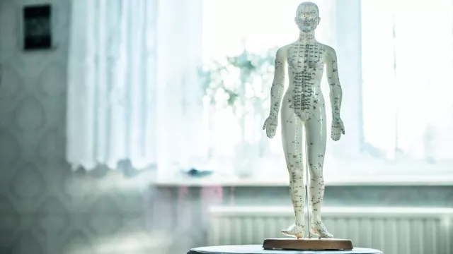 Bild: Dr. (Boshi) of Medicine Caroline Klann (Univ. Shangdong) zur Akupunktur - Akupunktur als wirksame Methode