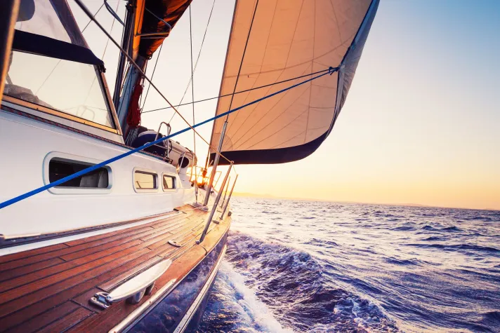 Bild: ZIZOO GEHT STRATEGISCHE PARTNERSCHAFT MIT SAVVY NAVVY EIN