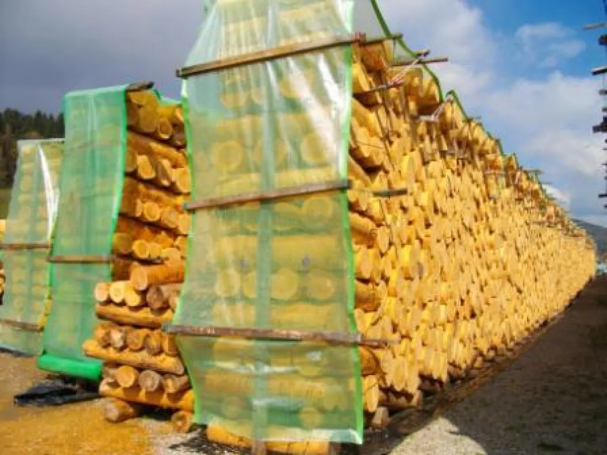 Holzwolle erster Güte ist mindestens 18 Monate getrocknet.