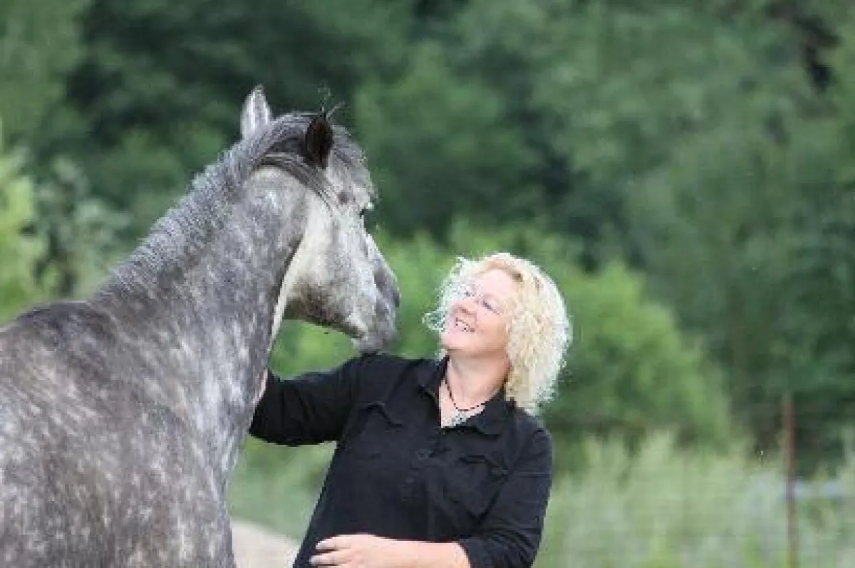 Ein gesundes Pferd - zur Freude des Besitzers c EPA