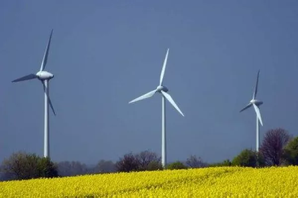 Bild: NaturWatt schwimmt beim grünen Strom ganz vorn